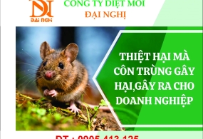 Diệt chuột