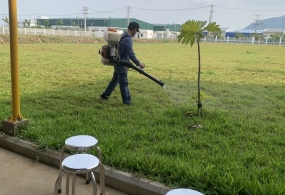 DỊCH VỤ PHUN THUỐC DIỆT MUỖI TẠI VŨNG TÀU GIÁ TỐT