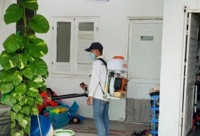 Dịch Vụ Diệt Côn Trùng Tại Quảng Nam