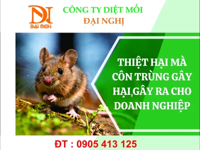 Diệt chuột