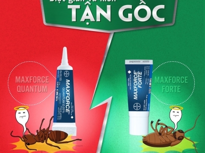 Diệt gián 