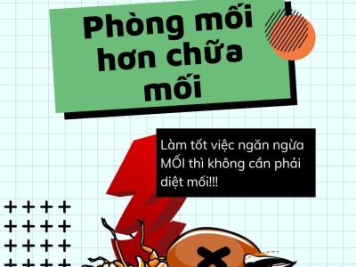 Diệt kiến