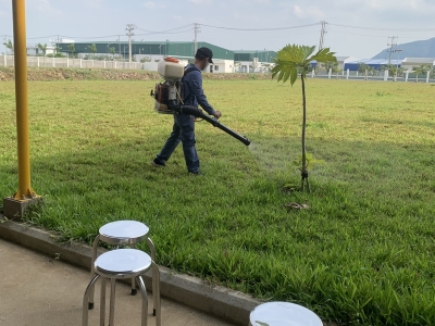 DỊCH VỤ PHUN THUỐC DIỆT MUỖI TẠI VŨNG TÀU GIÁ TỐT